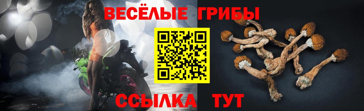 Галлюциногенные грибы Psilocybine cubensis  Вход с VPN  Бугуруслан 