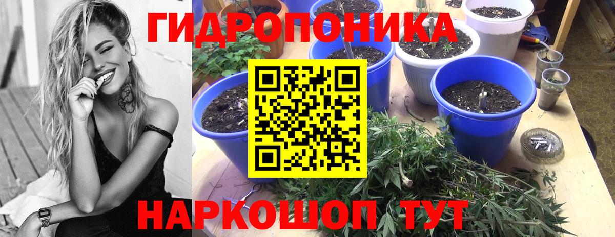 Конопля марихуана Бугуруслан